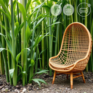 cane egg chair